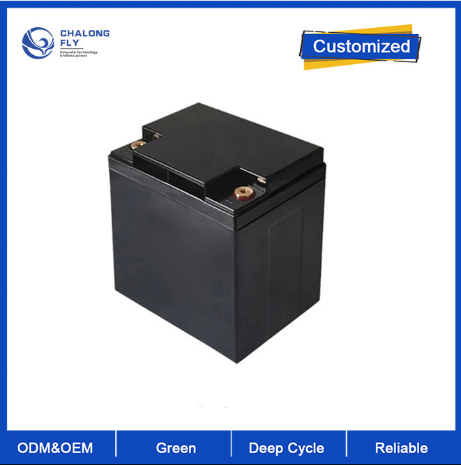 OEM ODM LiFePO4 Lithium Solar Battery Storage System Rechargeable ​12V 18Ah 25Ah 30Ah 384Wh