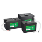 OEM ODM LiFePO4 Lithium AGV Battery Packs Automated Guided Vehicles System 24v 80v