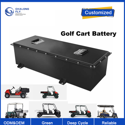 OEM ODM LiFePO4 lithium battery pack golf cart batteries 48v 100ah 200ah car golf cart Electric Scooter battery