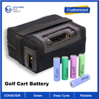 OEM ODM LiFePO4 lithium batterygolf cart ev lifepo4 battery 48v 100ah 200ah golf cart club car 48v 100ah battery