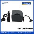 OEM ODM LiFePO4 lithium battery Factory Custom Golf Trolley Battery 24v 10ah Remote Control Electric Scooter battery