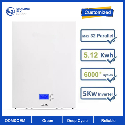 LiFePO4 Lithium Battery 48V 100AH 200AH Lithium Iron Phosphate Battery OEM ODM Home Backup Solar Power Storage System