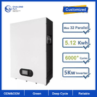 LiFePO4 Lithium Battery OEM ODM 48V 100AH Lithium Ion Solar Battery Pack Home 5KWH Capacity For Back Up Energy System