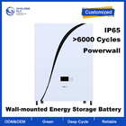 OEM ODM LiFePO4 lithium battery wall-mounted solar household energy storage battery 5kwh 10kwh 51.2V 100ah​