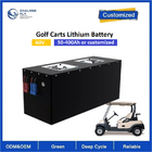 60V Lithium LiFePO4 OEM Power Battery Pack With Forklift AGV RGV Golf Cart Robot Motorcycles Scooter With 6000cycles