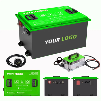 OEM ODM LiFePO4 Lithium Battery Pack Customized Golf Cart Lithium Ion Battery 48V