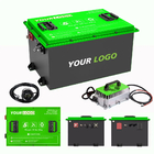 OEM ODM LiFePO4 For Customized Golf Cart Lithium Battery Pack Lithium Ion Battery 48V
