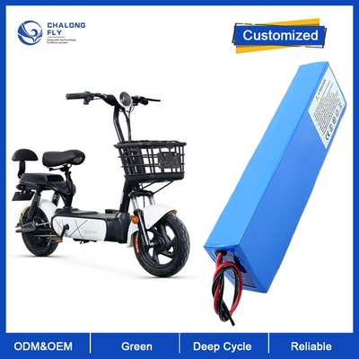 LiFePO4 Lithium Battery OEM 24V 36V 48V 60V 30AH Li-Ion Battery 40AH 60AH For E-Wheelchair/E-Motorcycle/E-Bike/E-scooter