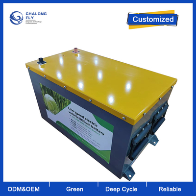 OEM ODM  LiFePO4 Lithium Battery Pack for Forklift Customized Lithium Ion Battery 48V 200Ah