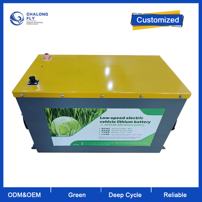 OEM ODM  LiFePO4 Lithium Battery Pack for Forklift Customized Lithium Ion Battery 48V 200Ah