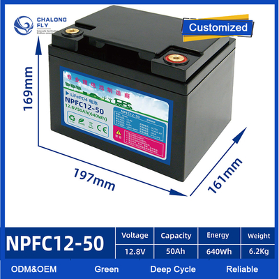 OEM ODM EV Lithium Battery Pack  24V 48V 60V 72V 80V Lifepo4 With Smart BMS For AGV