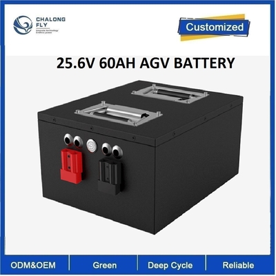 CLF Electric Forklift AGV Carrier LiFepo4 EV Lithium Battery Packs OEM ODM 24V 48V 60Ah RS485 communication