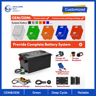 OEM ODM LiFePO4 For Customized Golf Cart Lithium Battery Pack Lithium Ion Battery 48V
