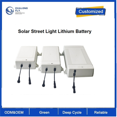 Customized 12V 24V Lithium Battery Pack for Solar Street Light Security Monitoring System
