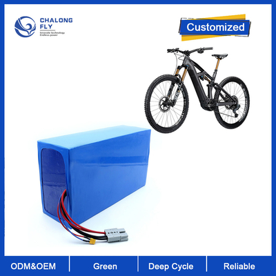 LiFePO4 Battery Packs OEM ODM 12V 24V 36V 60V 30AH 60AH 80AH 120AH For E-Wheelchair/E-Motorcycle