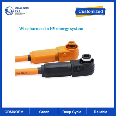High Power Battery Line Energy Power Harness Photovoltaic Energy Storage Cabinet for Medical Equipments IP67 Flame Retardant Rating