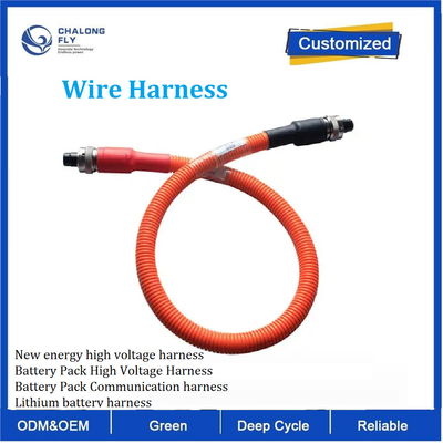 New energy high voltage harness Battery Pack High Voltage Harness Battery Pack Communication harness Lithium battery harness