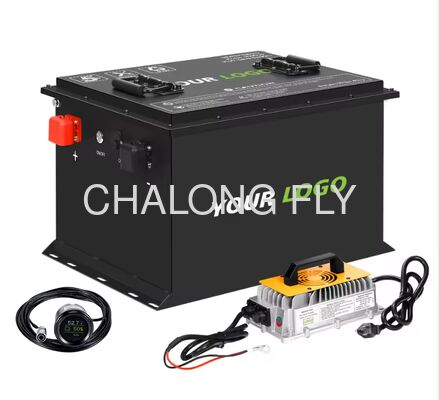 CLF OEM ODM 3C Fast Charging 48V30AH LTO Battery for Robotic Lithium titanate