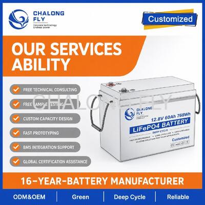 Custom 12.8V 100Ah LiFePO4 Battery Pack with BMS for Solar Street Lights and RV Auxiliary Power