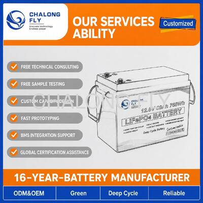 Custom 12.8V 200Ah LiFePO4 Battery Pack with BMS for Portable Power and Solar Storage