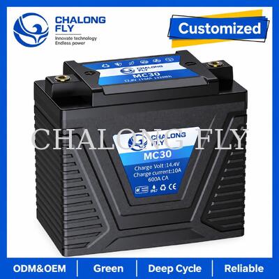 12.8V 10Ah LiFePO4 Motorcycle Starter Battery 600A for 15–30Ah Lead-Acid Replacement