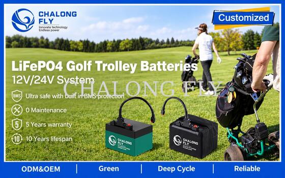 12.8V 18Ah 24Ah LiFePO4 Golf Trolley Battery with T-Bar Connector