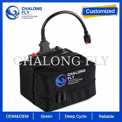 12.8V 18Ah 24Ah LiFePO4 Golf Trolley Battery with T-Bar Connector