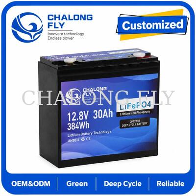 12.8V 30Ah LiFePO4 Deep Cycle Battery with 384Wh Energy and Smart BMS for 12V Systems