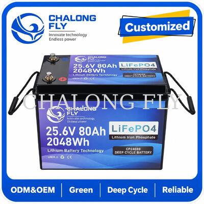 25.6V 70Ah LiFePO4 Battery with Bluetooth Remote Diagnostics and 1.792kWh for Mobility Scooters and Wheelchairs