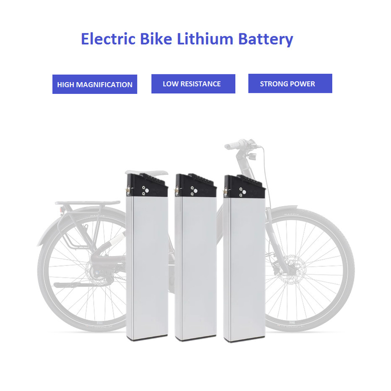 Electric Bike Lithium Battery 36V 48V Multiple Protection
