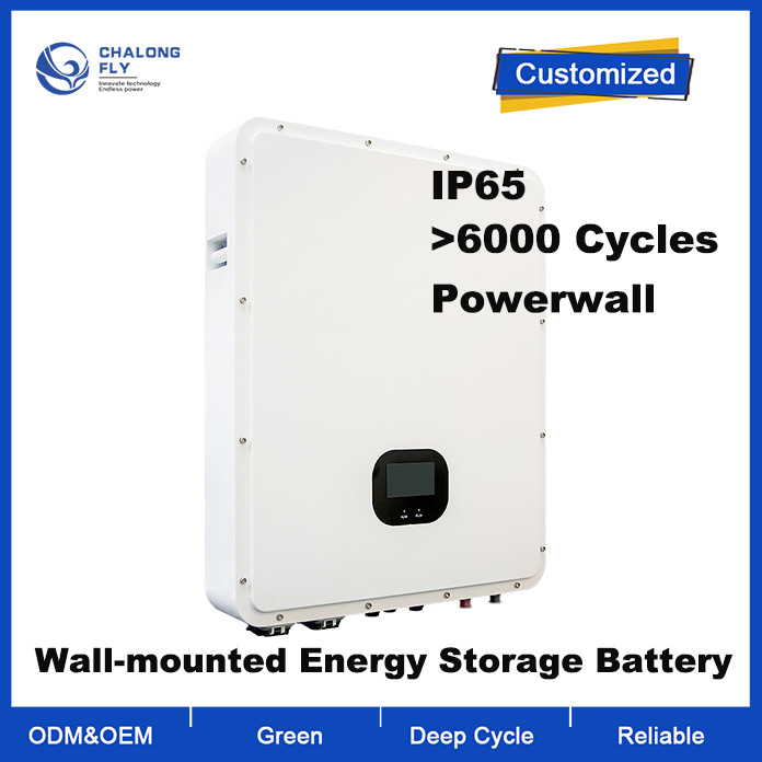 OEM ODM LiFePO4 lithium battery Household Powerwall Energy Storage System lithium battery packs