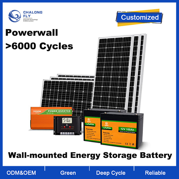 OEM ODM LiFePO4 lithium battery 1200W 24V Solar Power System With 2pcs 100Ah Lithium Battery And Inverter 6pcs 195W SP