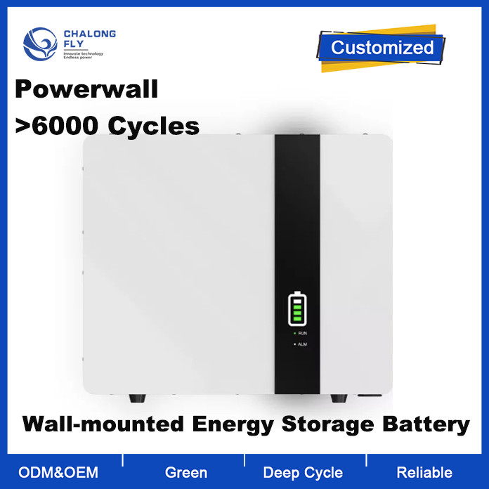 OEM ODM LiFePO4 lithium battery 51.2v Lithium Ion Battery Pack Wall Mounted Power Bank 10Kwh 7Kwh lithium battery packs