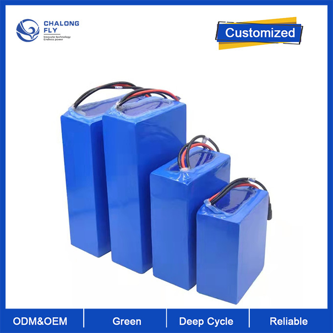 OEM ODM LiFePO4 lithium battery pack NMC NCM Customized 48V Electric Scooter battery with Any Shape