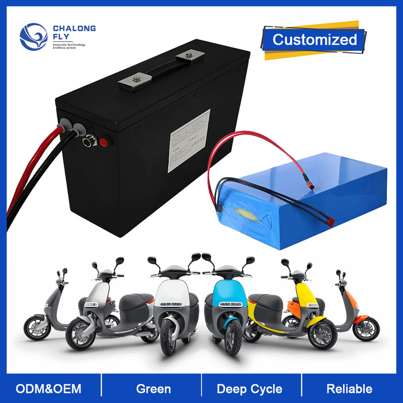 LiFePO4 Lithium Battery OEM ODM 36V 48V 60V 25AH Li-Ion Battery 60AH 100AH 120AH For E-Wheelchair/E-Motorcycle/E-Bike