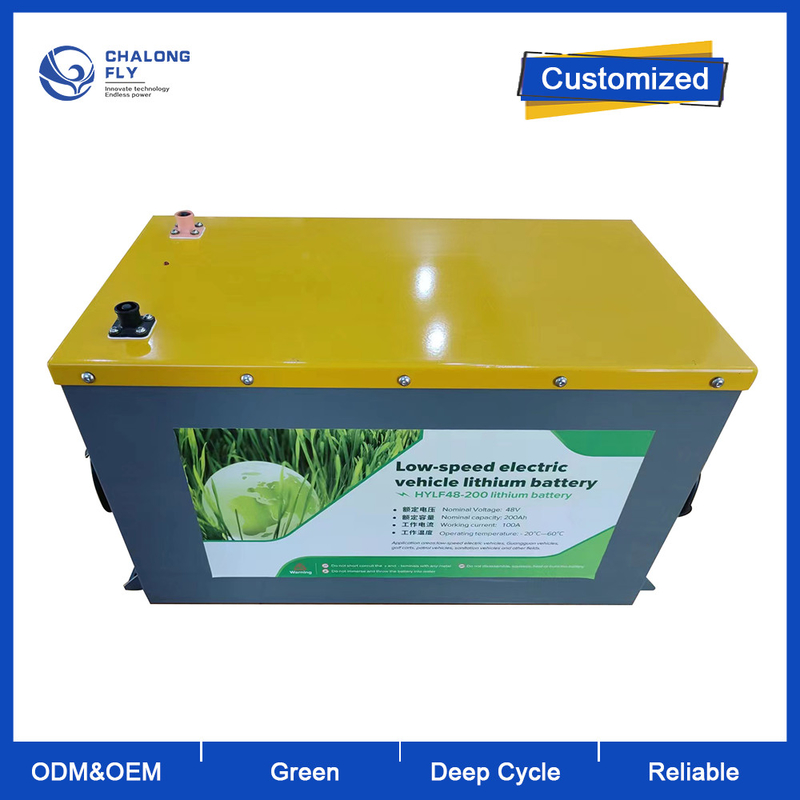 OEM ODM  LiFePO4 Lithium Battery Pack Customized Lithium Ion Battery for Forklift 48V 200Ah