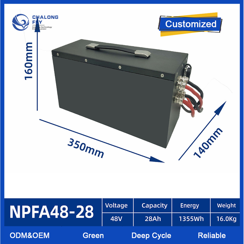 OEM ODM EV Lithium Battery Pack For AGV 24V 48V 60V 72V 80V Lifepo4 With Smart BMS