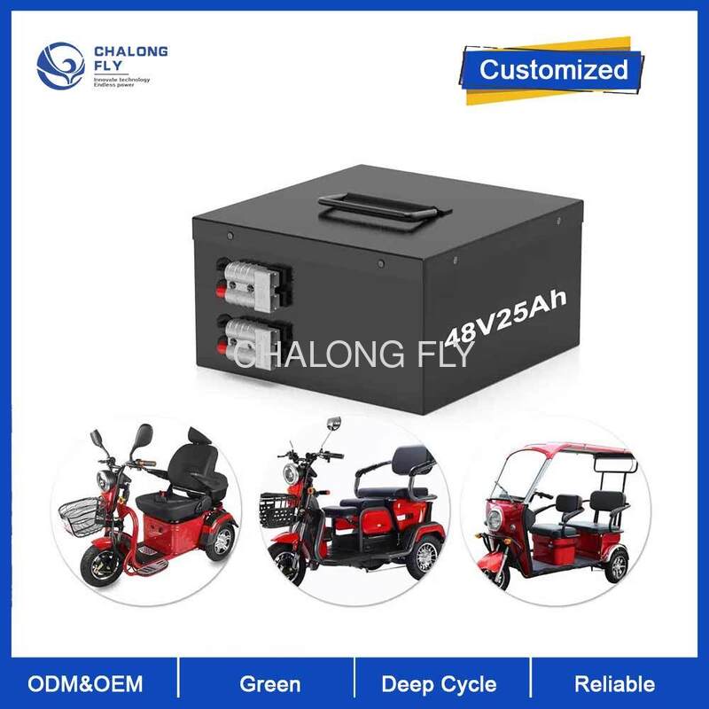 Electric Vehicle LiFePO4 Lithium Ion Battery 51.2V 25-100AH with 2000/3000/5000W Motor Controller