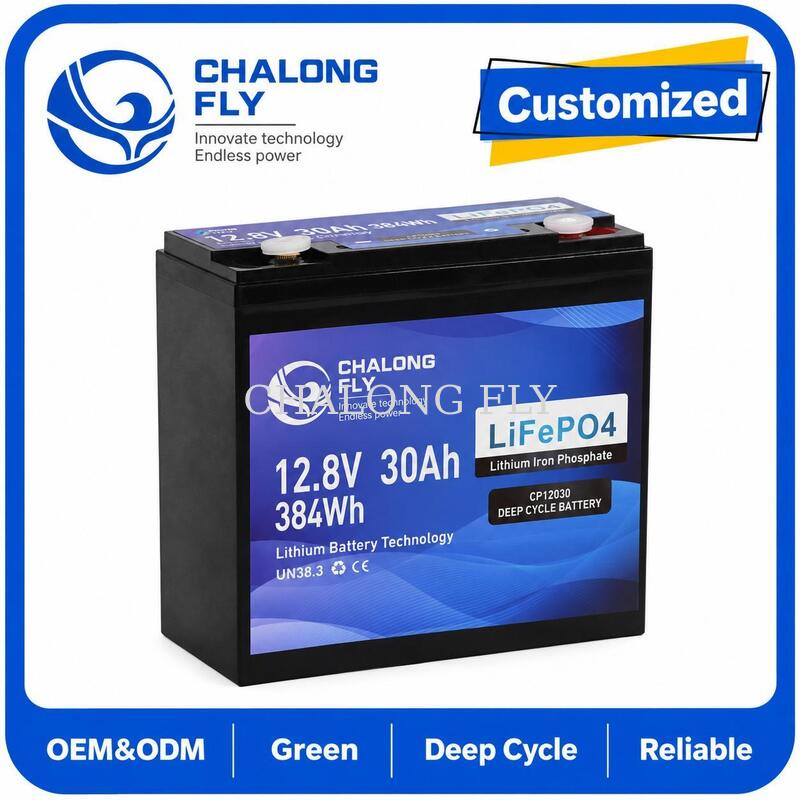 12.8V 30Ah LiFePO4 Deep Cycle Battery with 384Wh Energy and Smart BMS for 12V Systems
