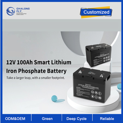 OEM ODM LiFePO4 lithium battery 12V 100Ah Lithium Battery Smart Deep Cycle Customized battery lithium battery packs