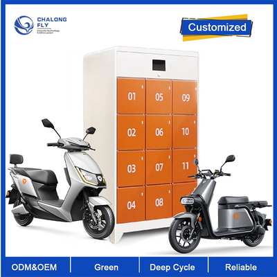 OEM ODM LiFePO4 Lithium Ebike Scooter Battery Swapping Station Cabinet Fast Charging Customized battery