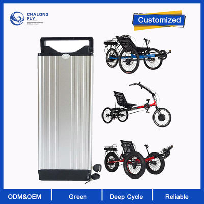 LiFePO4 Lithium Battery Custom 24V 36V 48V Recumbent Electric Trike Battery 20AH-120AH Electric Tricycle Battery Packs