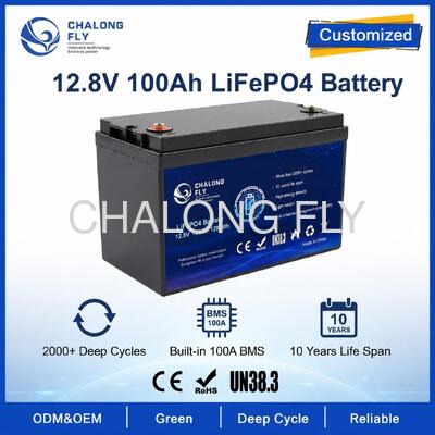 Custom 12.8V 100Ah LiFePO4 Battery Pack with BMS for Solar Street Lights and RV Auxiliary Power
